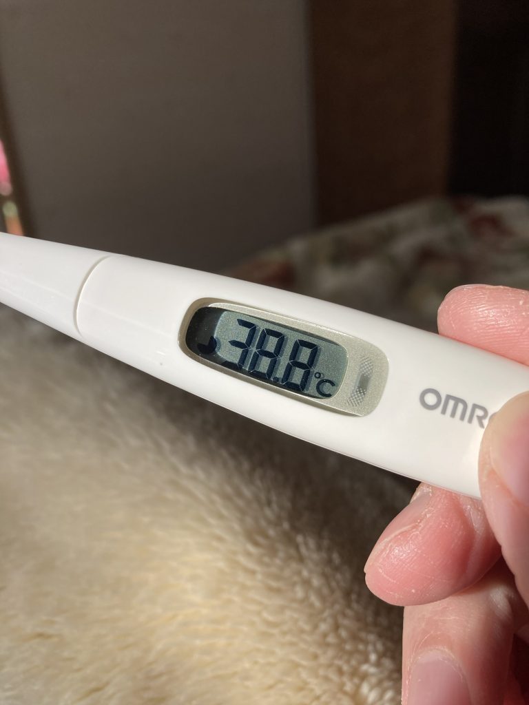インフルエンザで高熱
