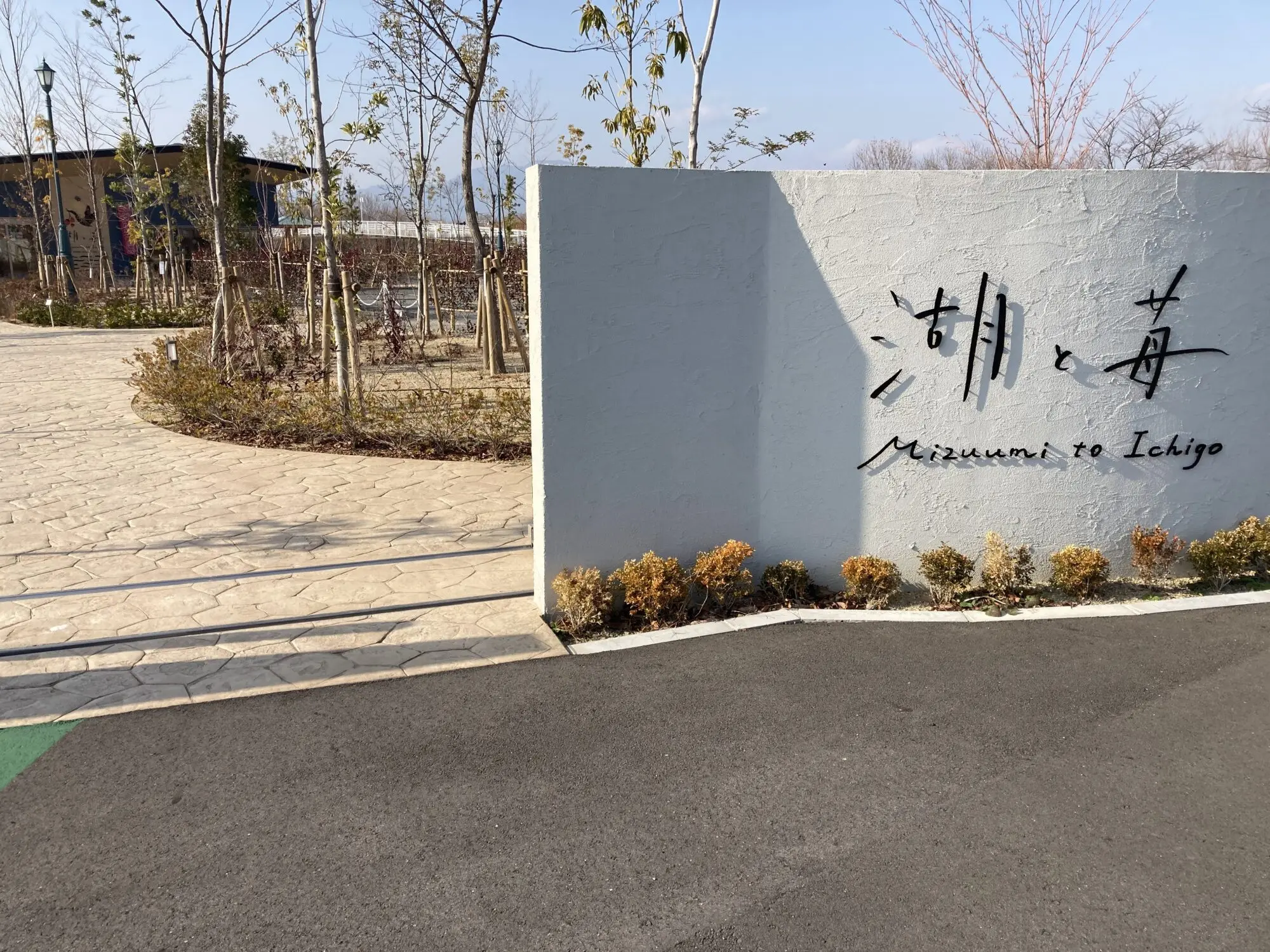 湖と苺