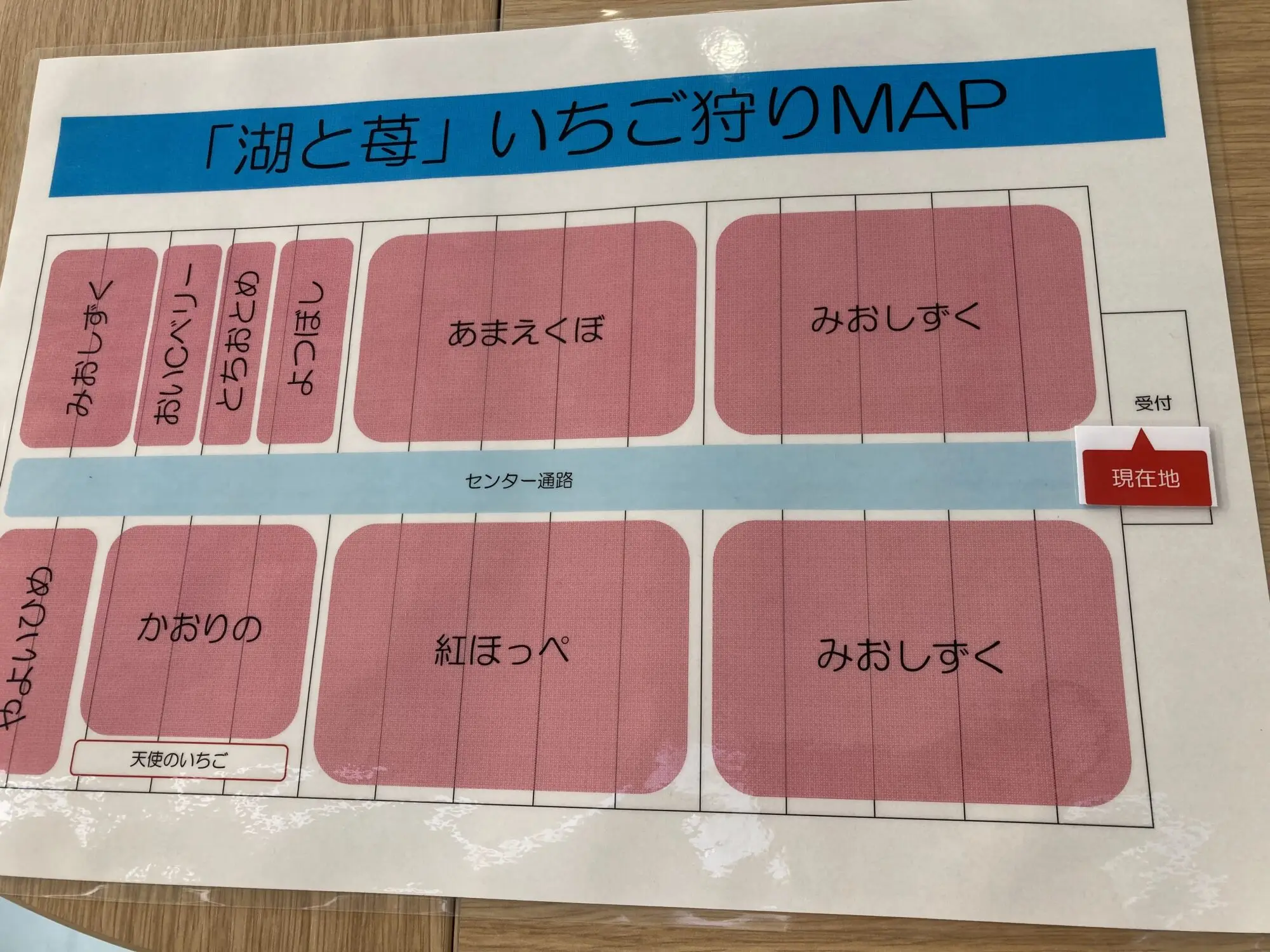 栽培品種は9種類